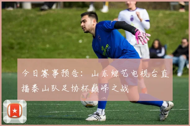 今日赛事预告：山东综艺电视台直播泰山队足协杯巅峰之战