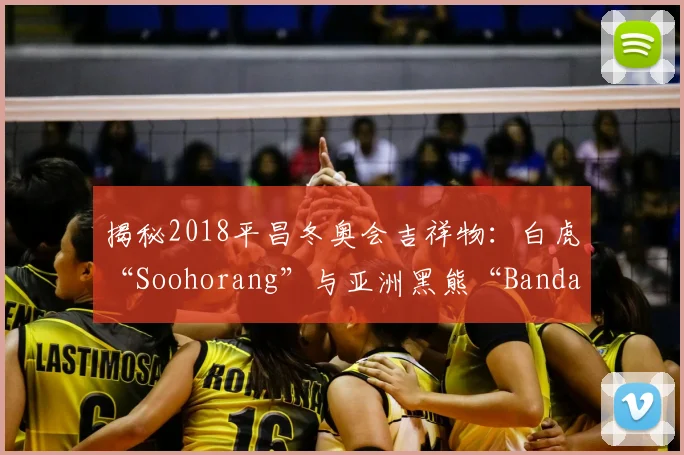 揭秘2018平昌冬奥会吉祥物：白虎“Soohorang”与亚洲黑熊“Bandabi”的设计故事