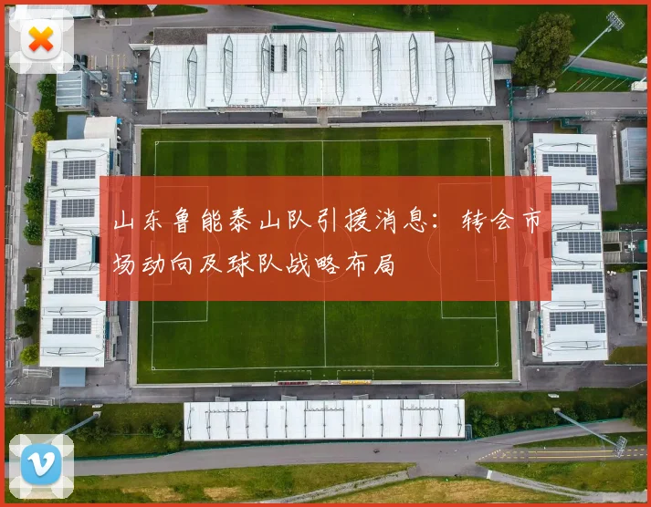 山东鲁能泰山队引援消息：转会市场动向及球队战略布局