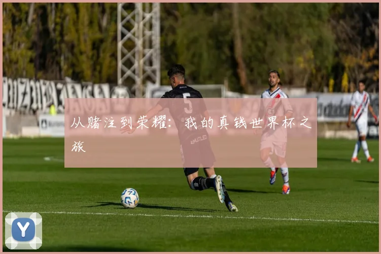 从赌注到荣耀：我的真钱世界杯之旅