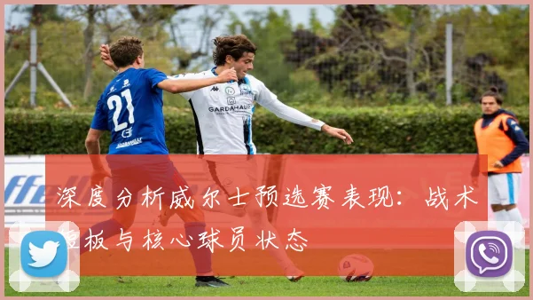 深度分析威尔士预选赛表现:战术短板与核心球员状态
