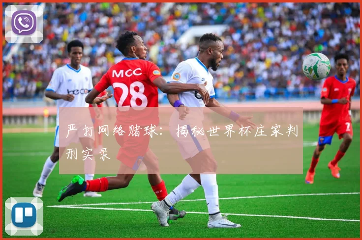 严打网络赌球：揭秘世界杯庄家判刑实录